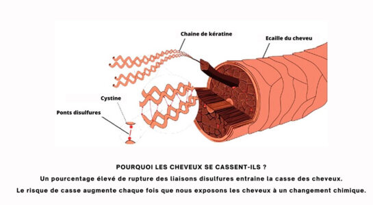 Schéma Cheveux Abimés